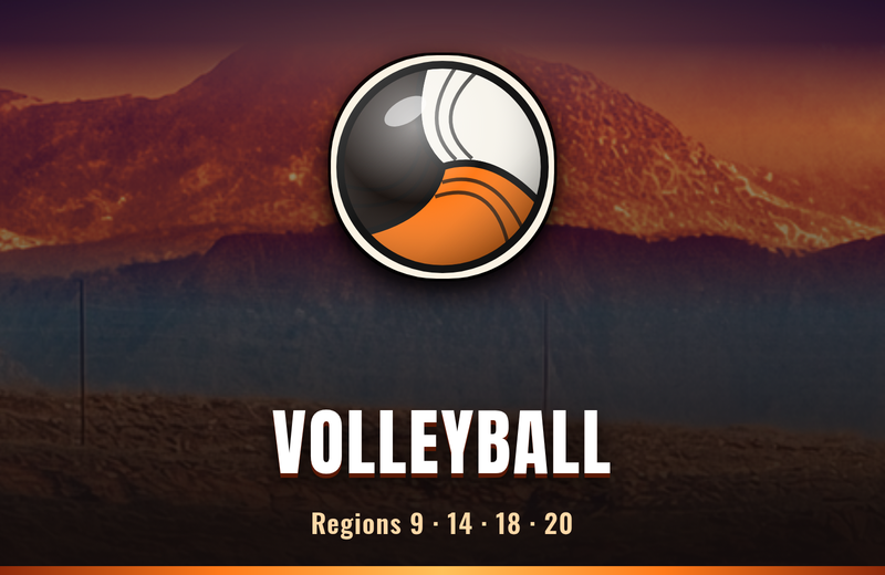 DixieChatter tile: Volleyball standings: Regions 9, 14, 18 and 20