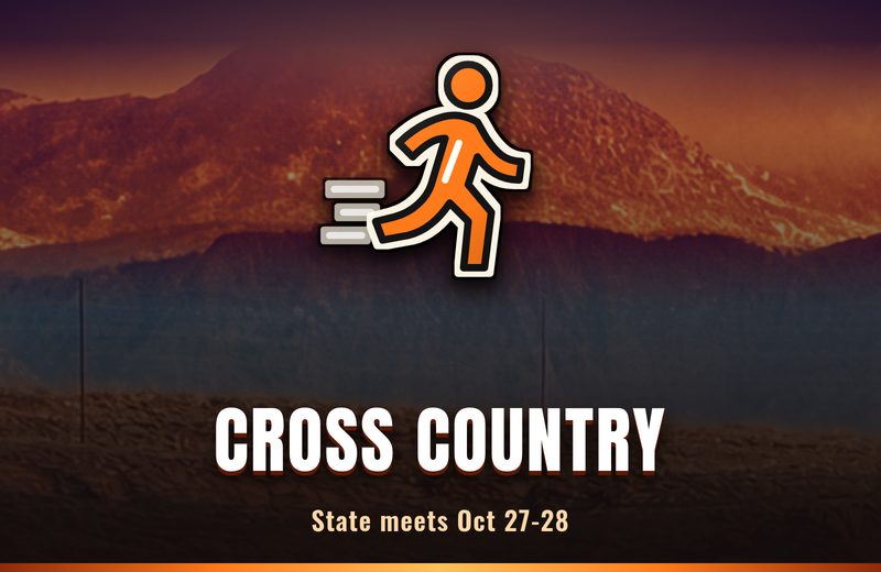 DixieChatter tile: Cross country: state meets Oct. 27-28